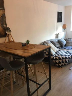 Appartement Lille Europe